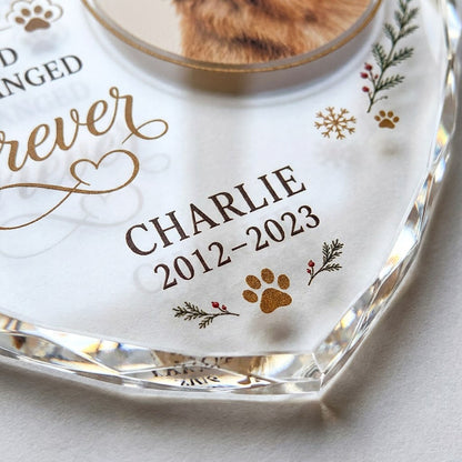 Personalized Dog Memorial Photo The Moment Your Heart Stopped Heart Glass Ornament