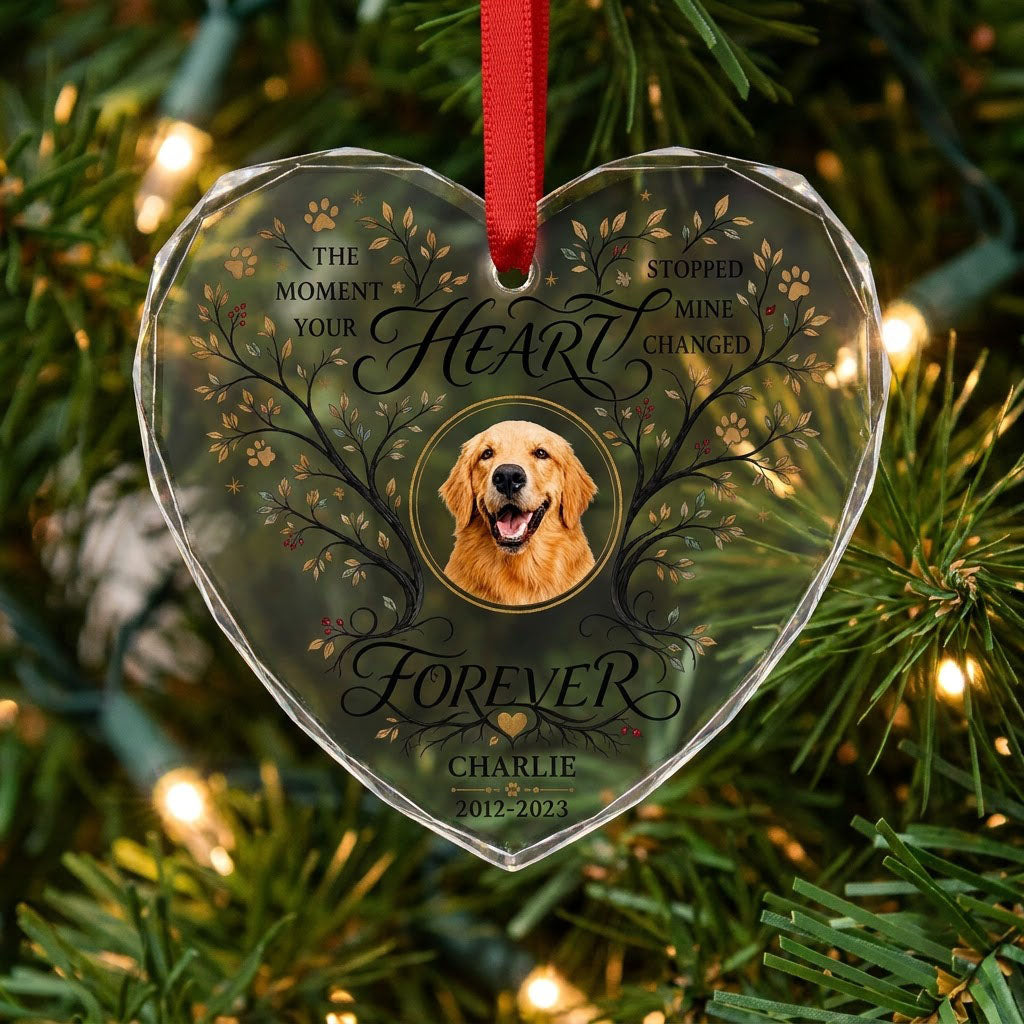 Personalized Dog Memorial Photo The Moment Your Heart Stopped Heart Glass Ornament